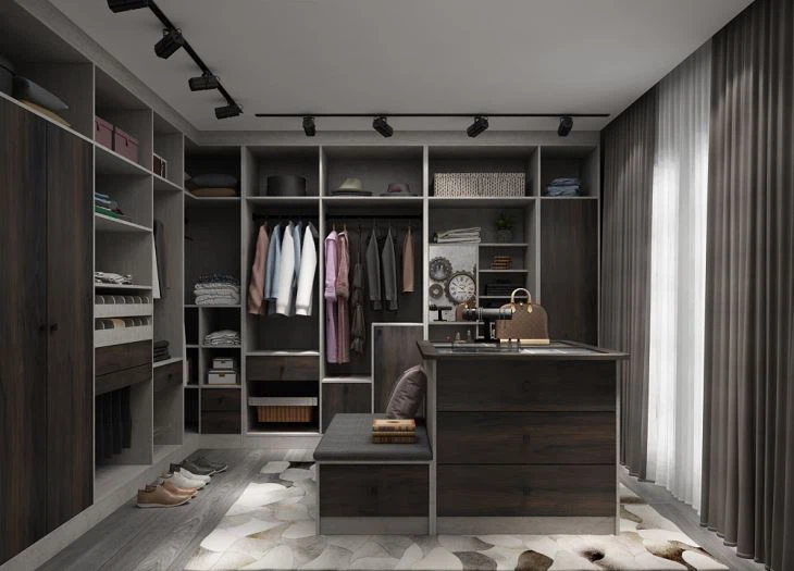Modern Walk-in Closet
